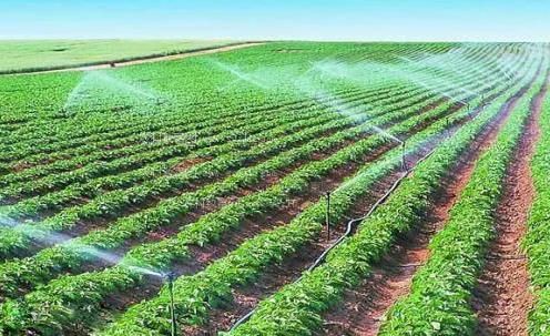 干大逼视频农田高 效节水灌溉